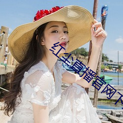 红尘(塵)直播官(官)网下(下)载(載)