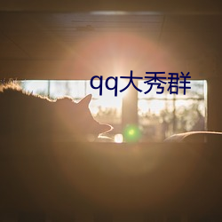 qq大秀群