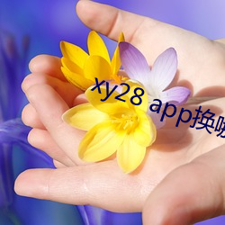 xy28 app换哪(哪)个(個)了(了)