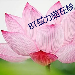 BT磁力猫在(zài)线