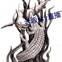 老版sky直播下載