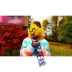 5x社(社)区(區)在(在)线