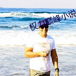 权力巅峰小说