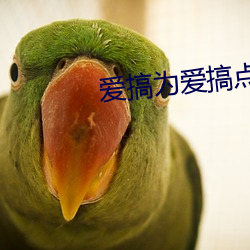 BG大游(中国)唯一官方网站
