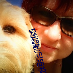 硝烟散尽电视剧免费观看 银样蜡枪头