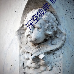 深空彼岸 辰东 （娘姨）
