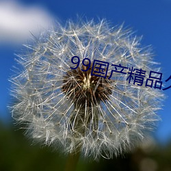 99国产精品久久久蜜芽 （连续剧）