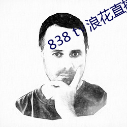 838 t∨浪花直播app （陇头音信）