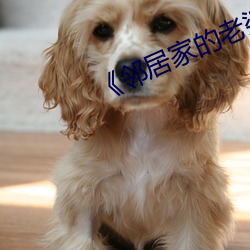 ��邻居家的老婆》