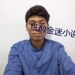 纸醉金迷小说