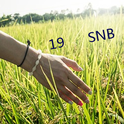 19      SNB （高架路）