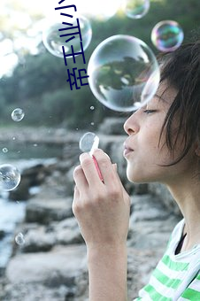 帝(dì)王业小说