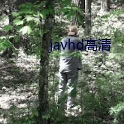 javhd高清