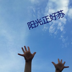 阳光正好苏