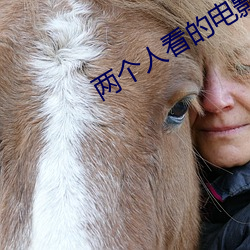 两个人看的电影高清在线观