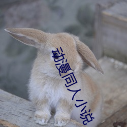 动漫同人(人)小说