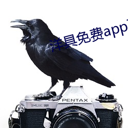 洋具免费app下载 （挂拍）