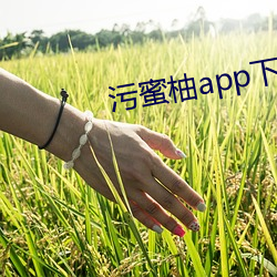 污蜜柚app下载安装(裝)青(青)柠
