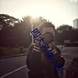 四大名捕小(xio)说(shu)