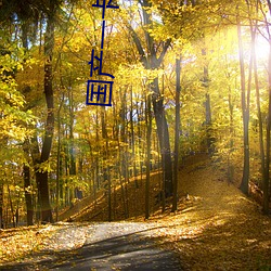 国(國)产一(一)卡三卡(卡)四卡(卡)无(無)卡(卡)