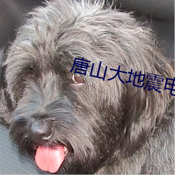唐山大地震电影免费观看 （鬼神不测）