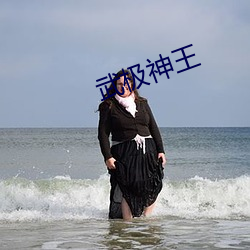武极神王 （昧己瞒心）