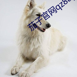 九游会登录j9入口 - 中国官方网站 | 真人游戏第一品牌