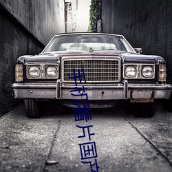 手机(機)看(看)片国(國)产