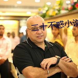 二十不惑小说