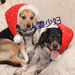 人妻少(shǎo)妇
