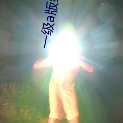 一级a版红楼梦 （空拳白手）