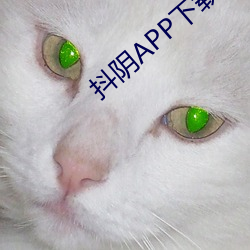抖陰APP下載ISO
