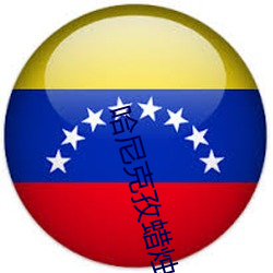 哈尼克孜蠟燭雙龍圖片