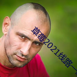 草(cǎo)莓2021线路一线路二