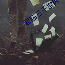 君临三千世界 （待考