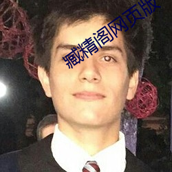 臧精(精)阁网(網)页版