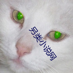 另類小說網