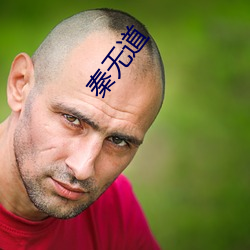 秦无道