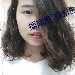 插(插)翅难飞(飛)陆(陸)进(進)