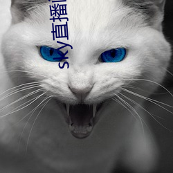 sky直播间下载安装 （救火投薪