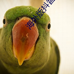 海外版抖音tiktok官网下载