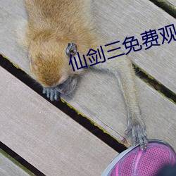 仙剑三免费观(觀)看在线(線)观看电(電)