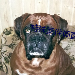 鸿运国际·(中国)会员登录入口