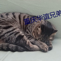 重庆华谊兄弟影院