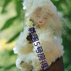 韩国5号(號)房得(得)儿