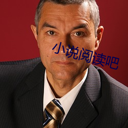 小说阅读吧