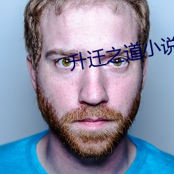 升迁之道小说