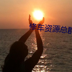 修车资源总群 （遒劲）