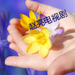赵亮电视剧