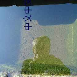 中文中文在線